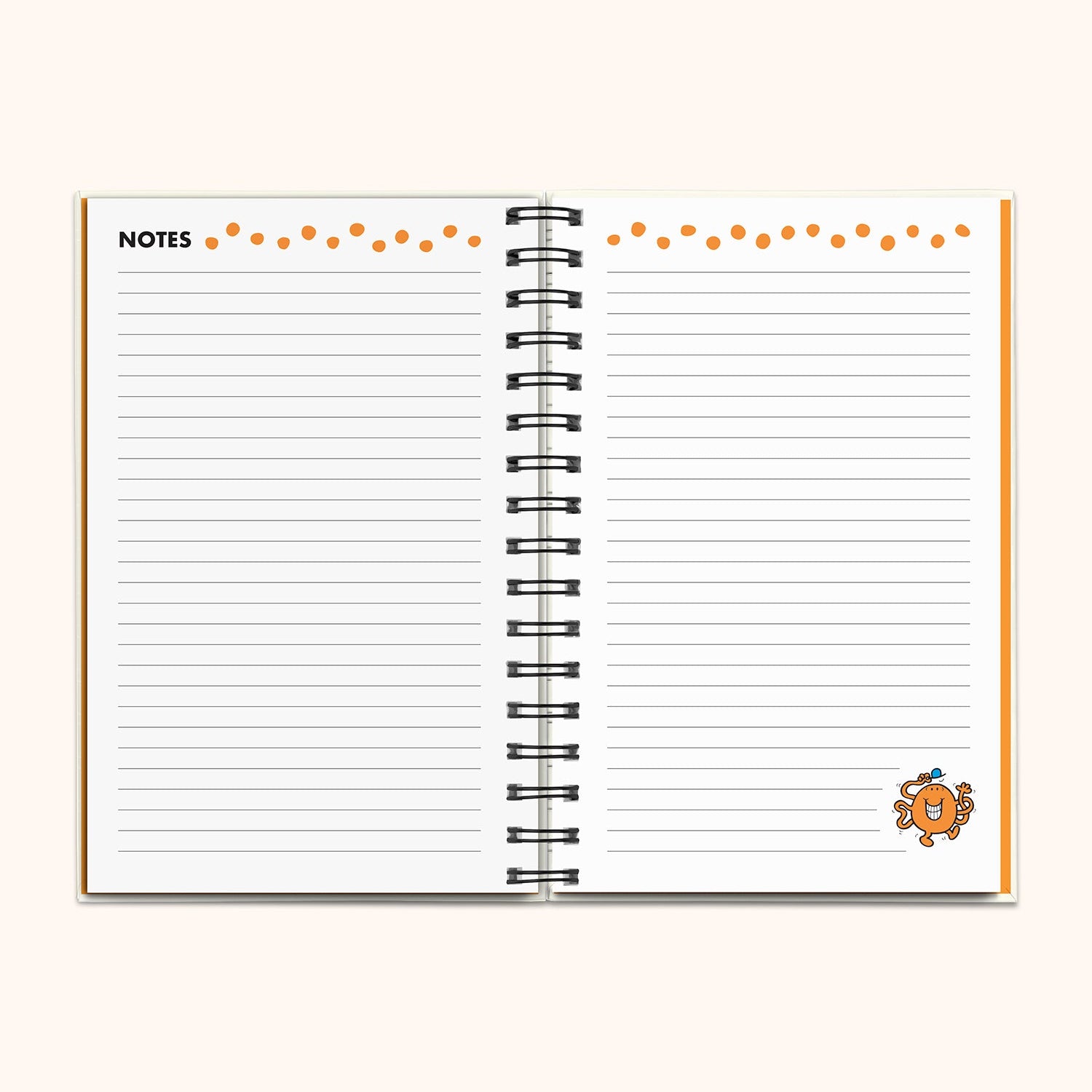 Interior spread with agenda layout and monthly goal pages in use