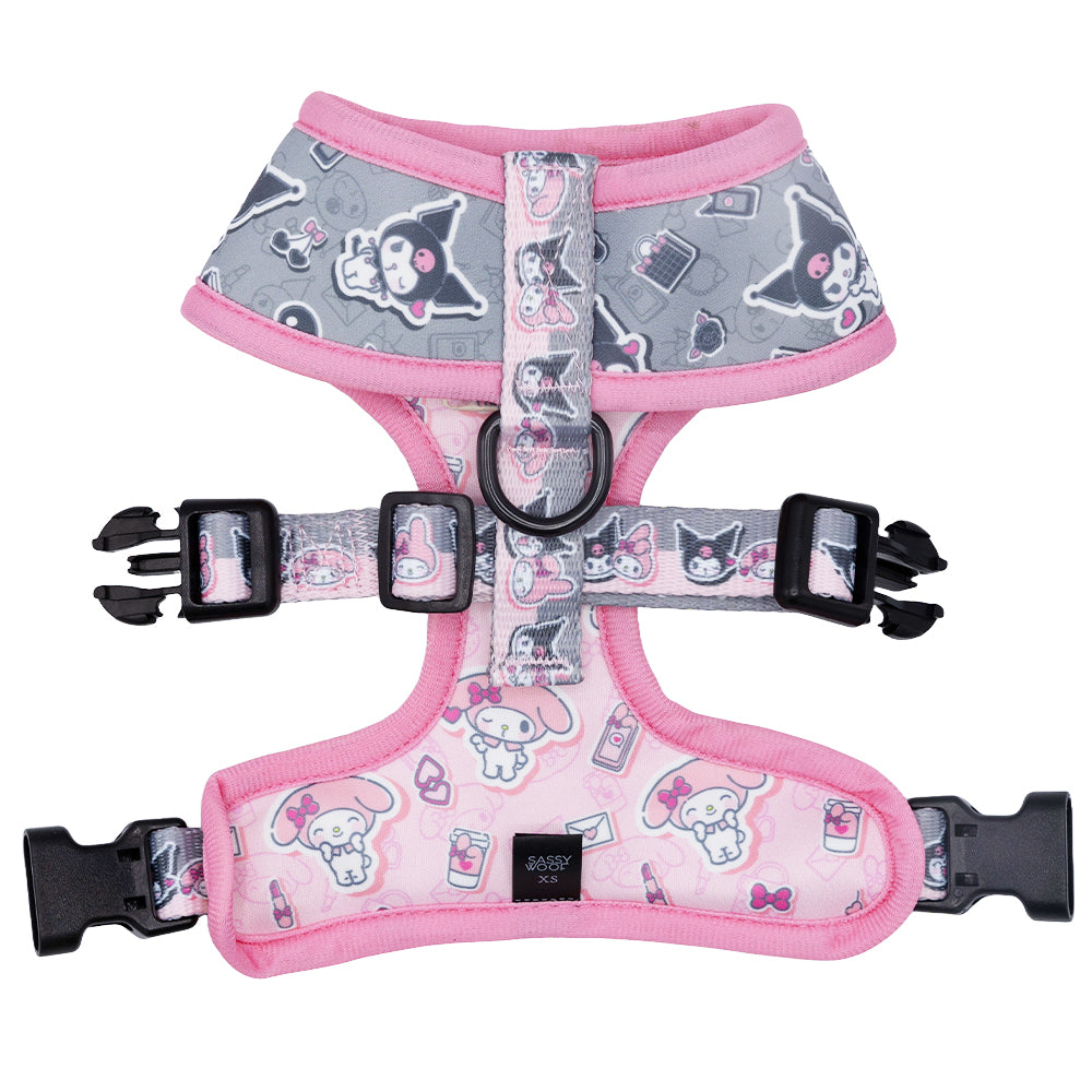 Front view of a dog with no-pull dog harness and secure handle for better control