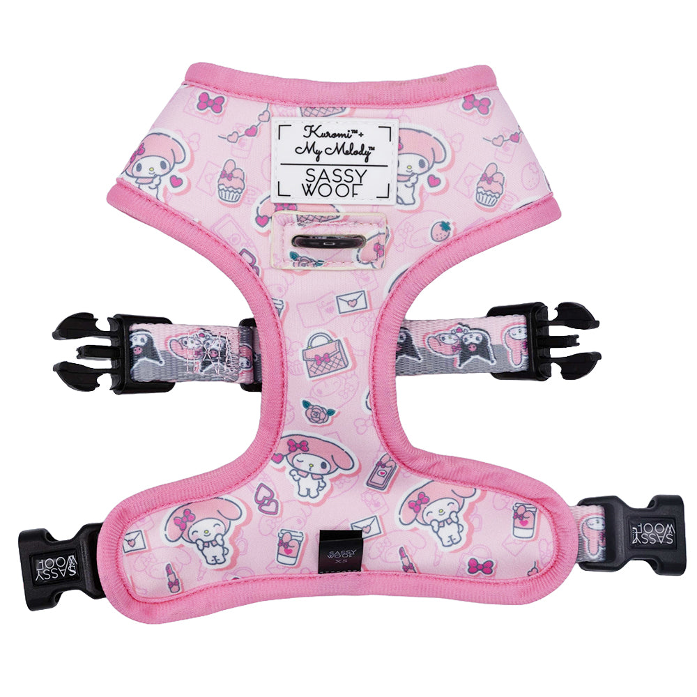 Dog wearing a reversible dog harness with handle and My Melody & Kuromi print during a walk in the park