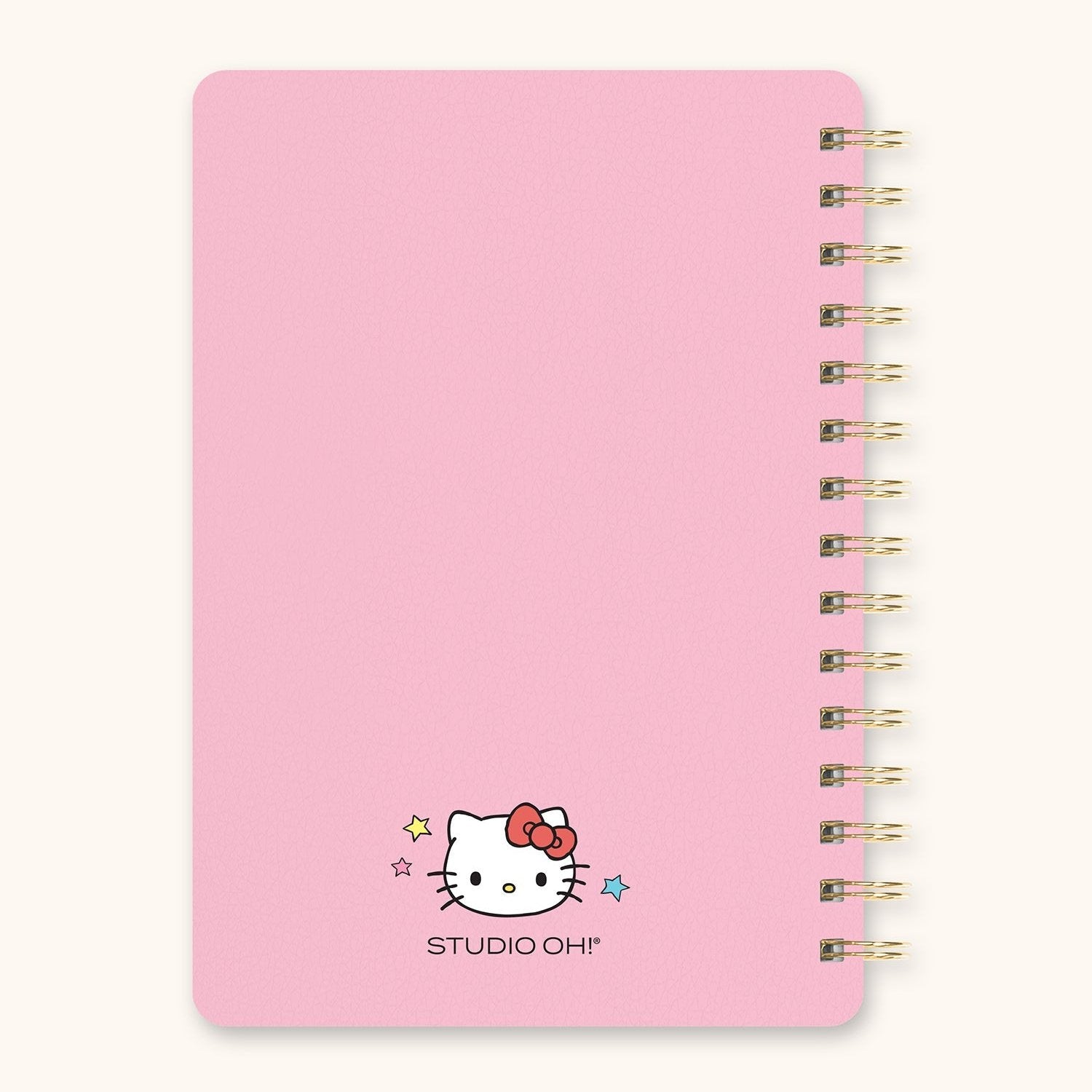 Close-up of the notebooks foil-detailed cover with Hello Kitty artwork.