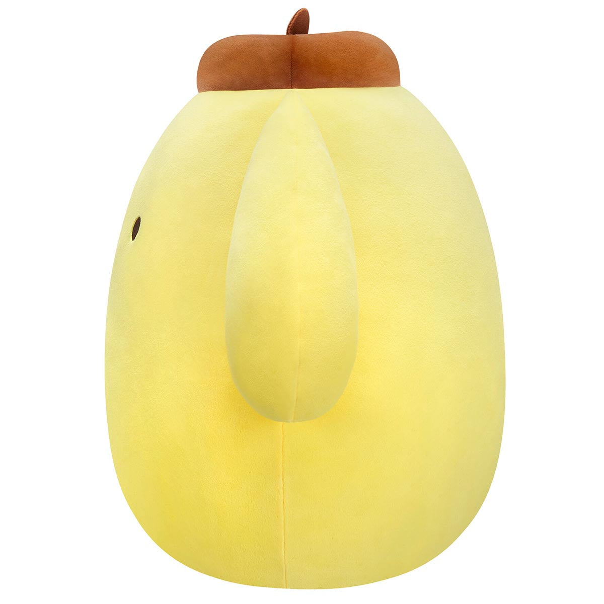 Pompompurin Squishmallows plush toy with Sanrio packaging