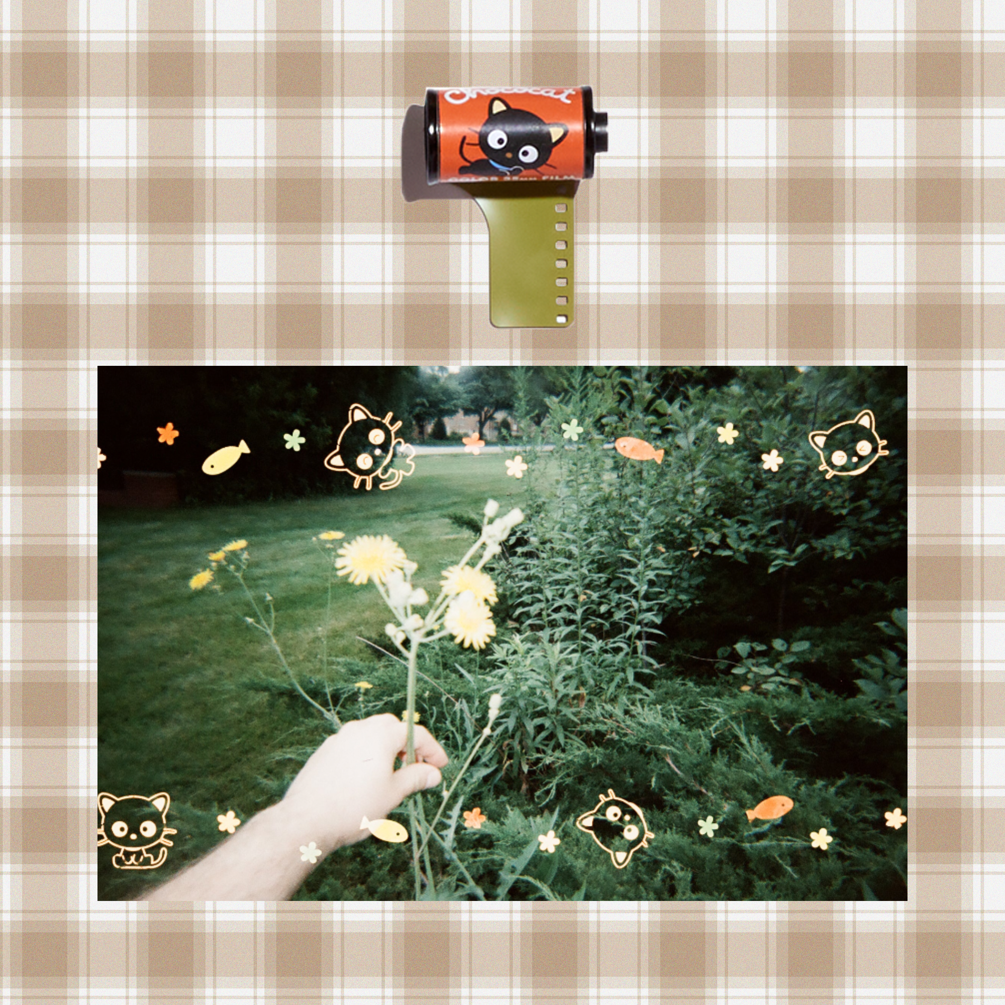 Chococat 35mm film roll with 24 exposures