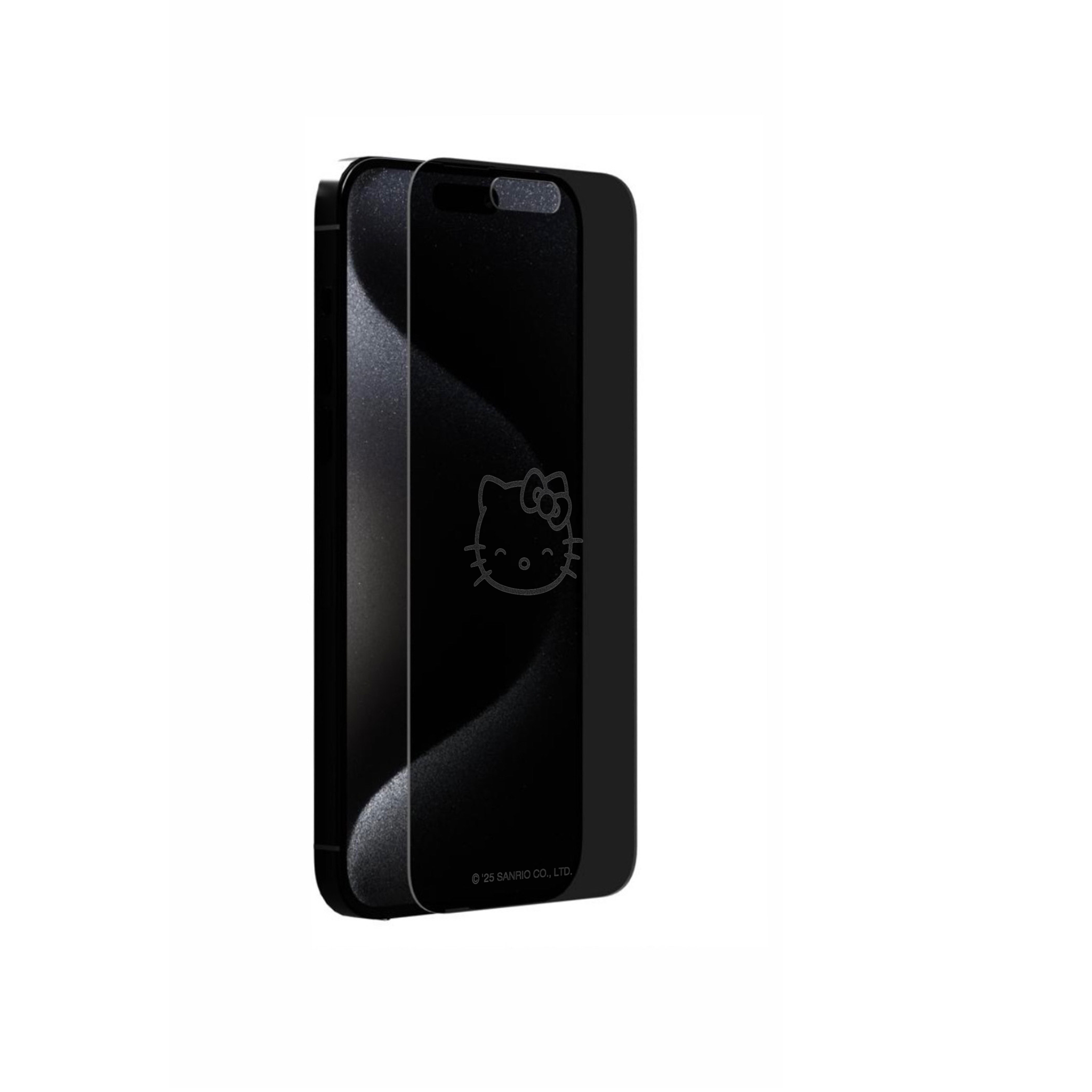 Privacy screen protector packaging with installation tray