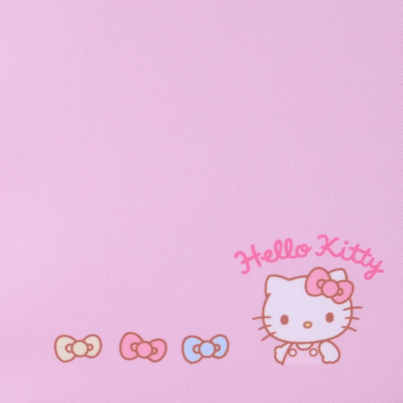 Hello Kitty pouch next to pens and notebook for size reference